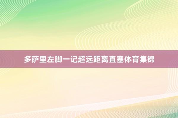 多萨里左脚一记超远距离直塞体育集锦