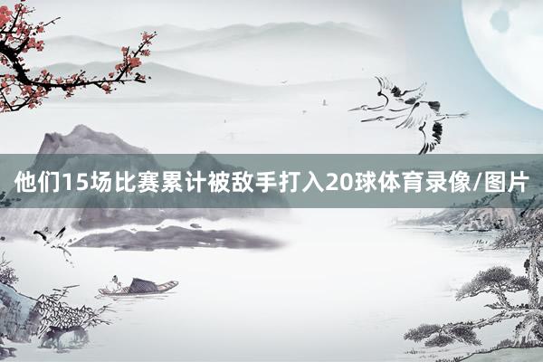 他们15场比赛累计被敌手打入20球体育录像/图片