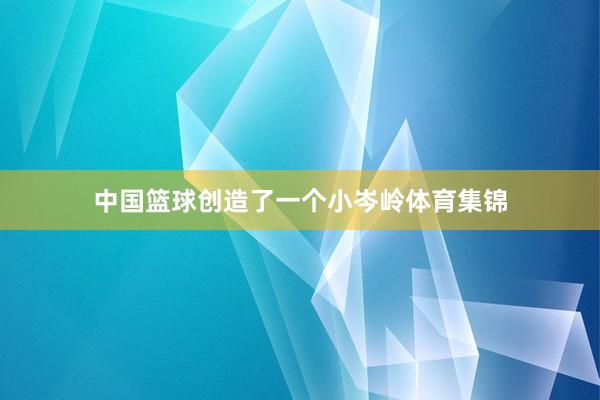 中国篮球创造了一个小岑岭体育集锦