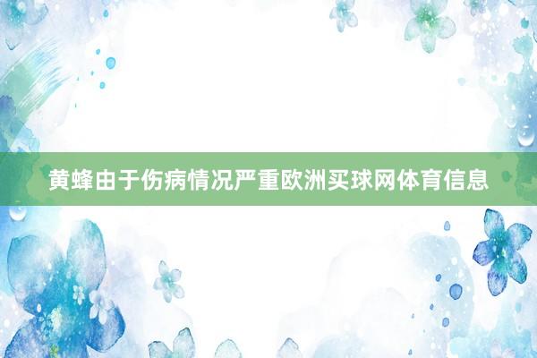 黄蜂由于伤病情况严重欧洲买球网体育信息