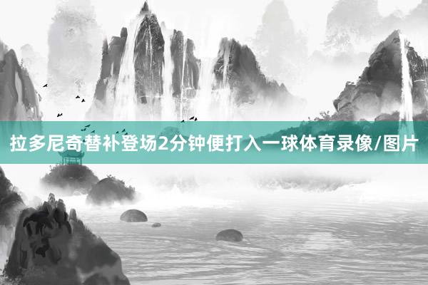 拉多尼奇替补登场2分钟便打入一球体育录像/图片