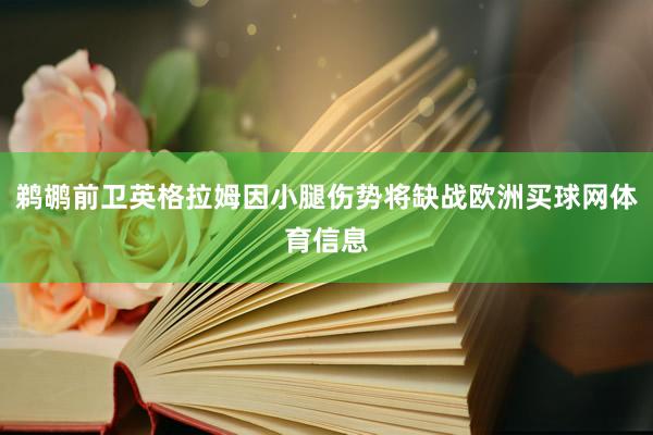 鹈鹕前卫英格拉姆因小腿伤势将缺战欧洲买球网体育信息