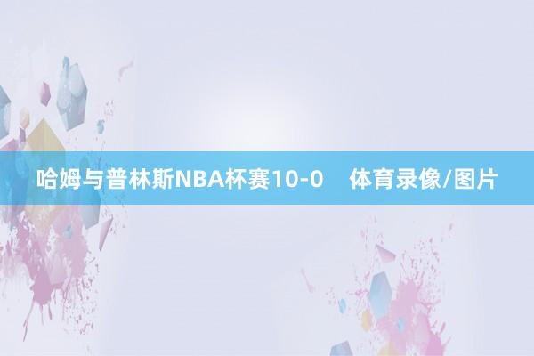 哈姆与普林斯NBA杯赛10-0    体育录像/图片