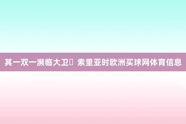 其一双一濒临大卫・索里亚时欧洲买球网体育信息