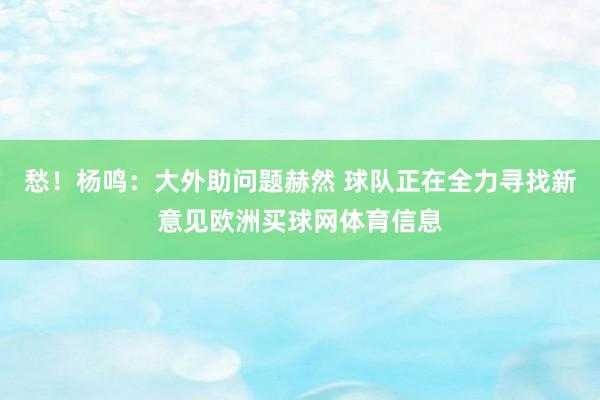 愁！杨鸣：大外助问题赫然 球队正在全力寻找新意见欧洲买球网体育信息