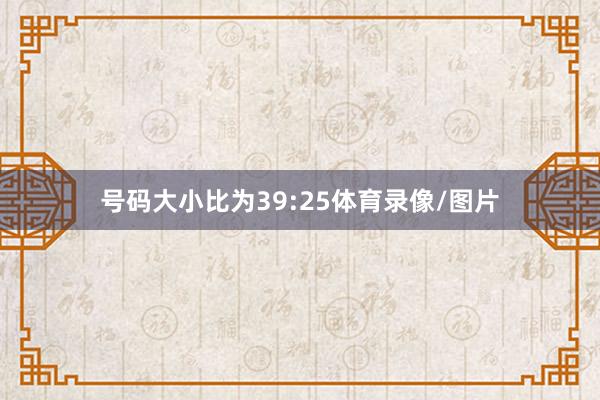 号码大小比为39:25体育录像/图片