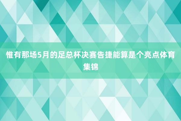 惟有那场5月的足总杯决赛告捷能算是个亮点体育集锦